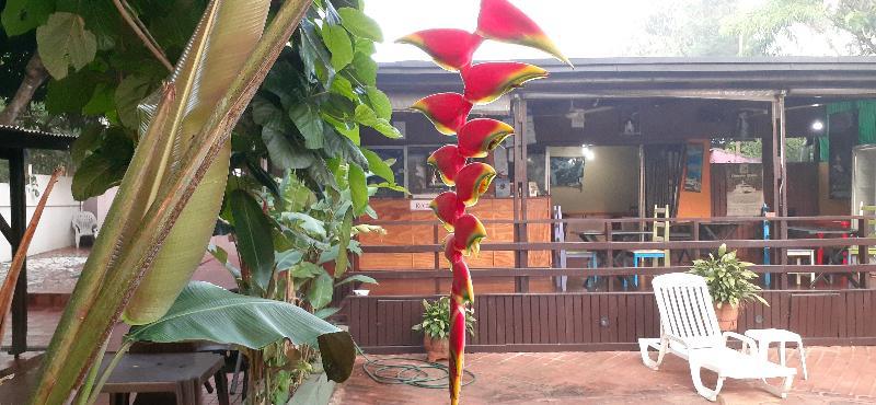 Residencial Noelia Hostel Puerto Iguazú Exteriér fotografie